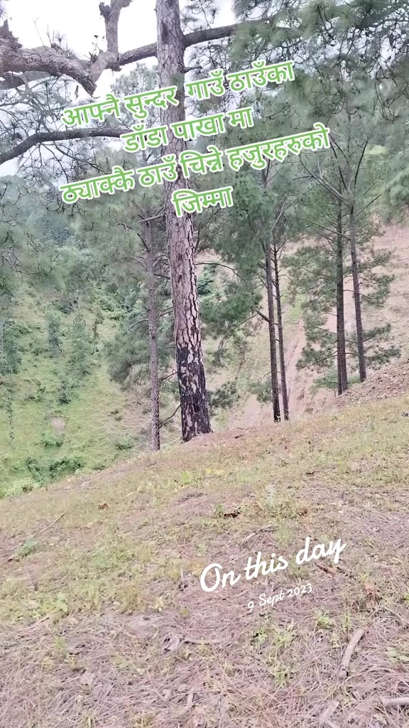 @Padam Bahadur BC