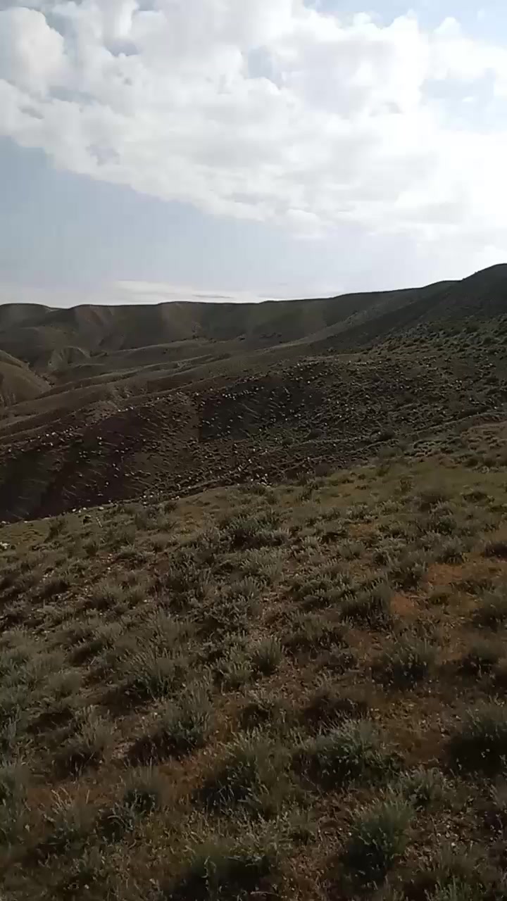 @Zahid cehrili