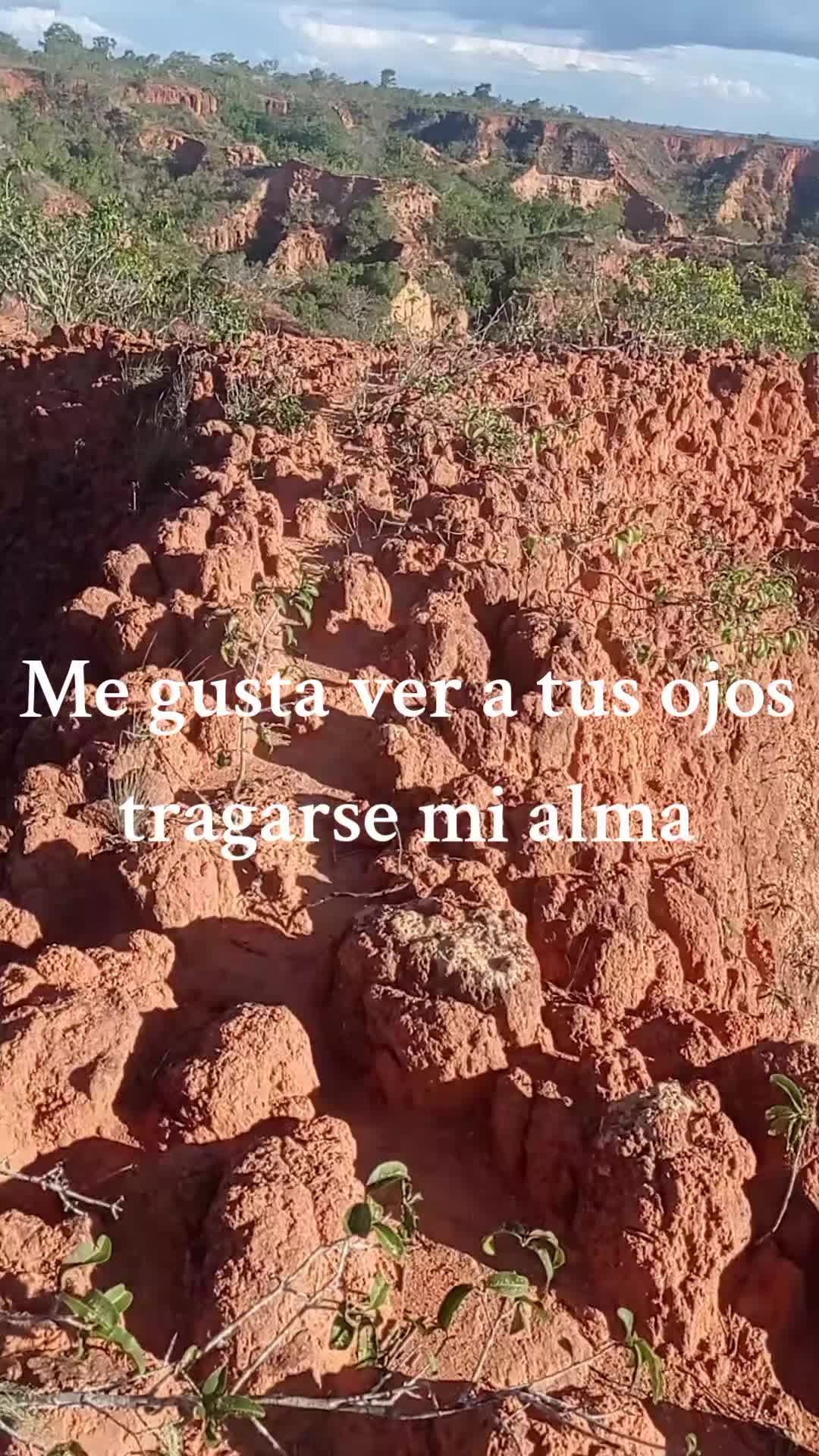 @🥥ElZorro🥥