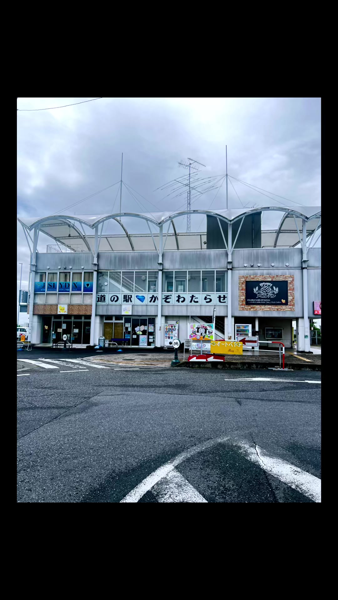@アピストハッピーライフ🐒