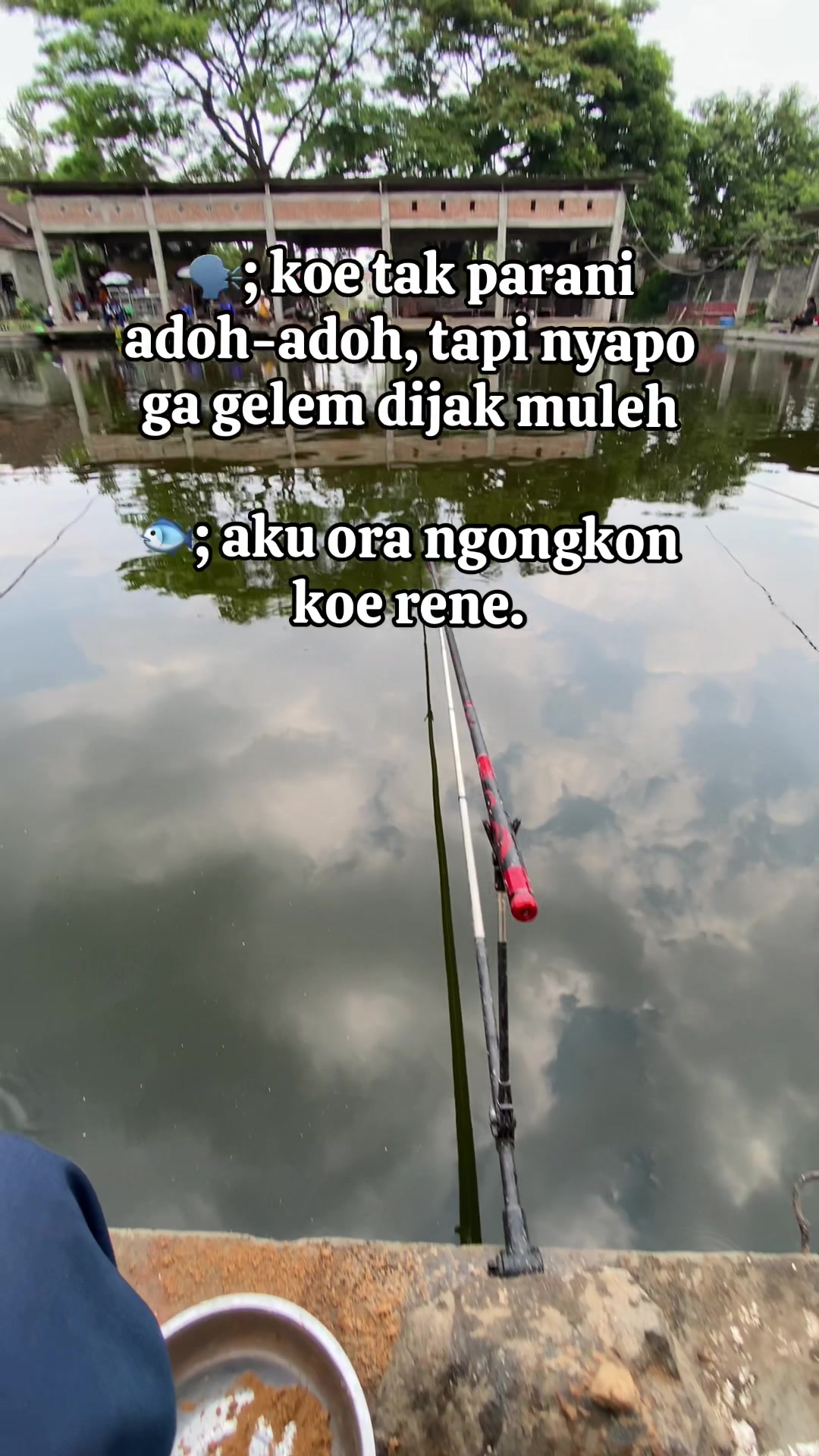@Trafalgar D. Water Law