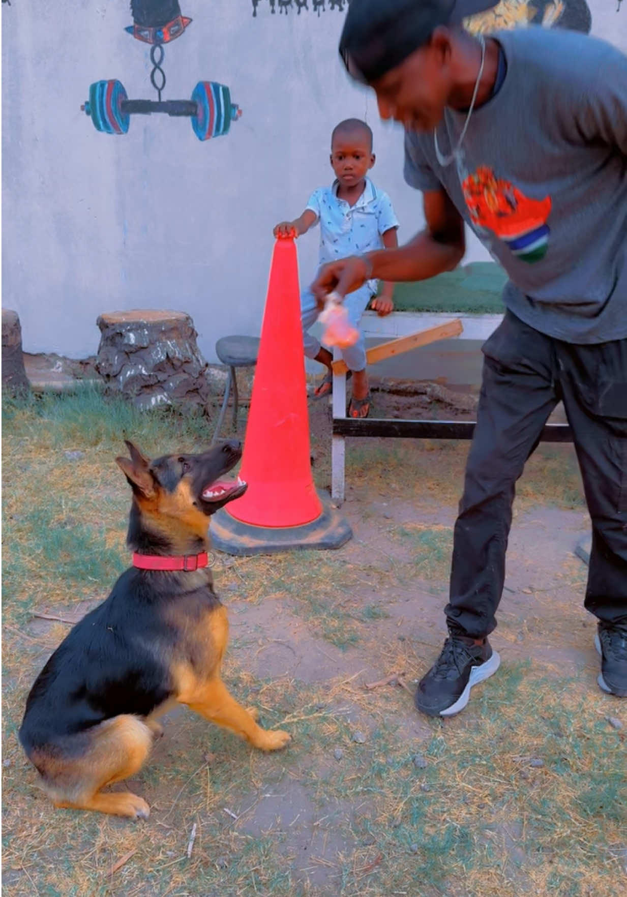 @Dog Master