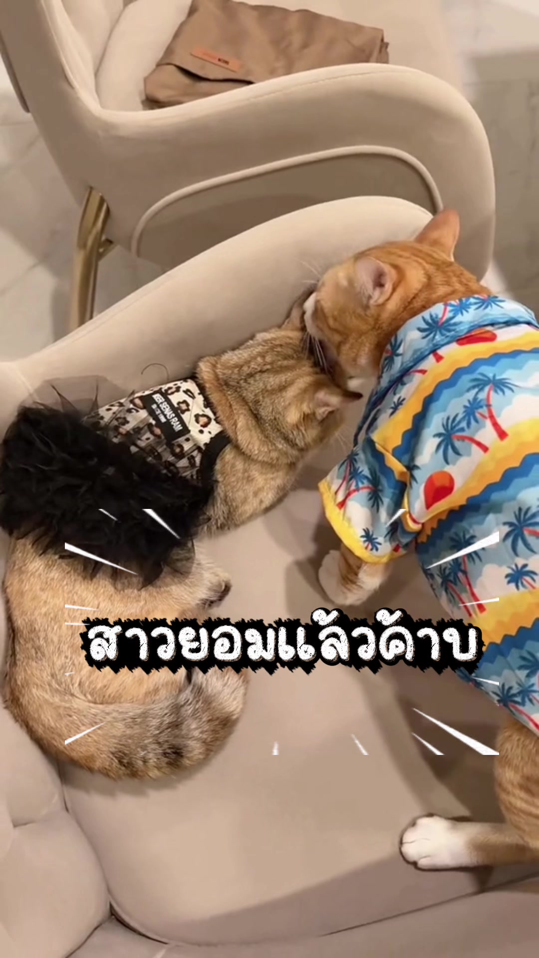 @เกรท 97 💚✨