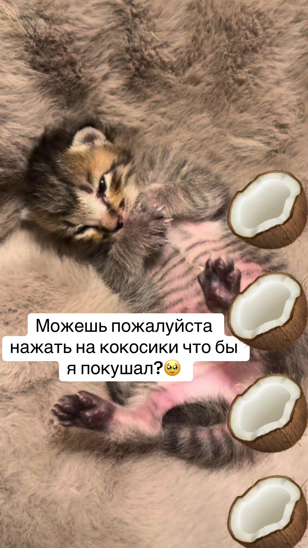 @kaboompriut