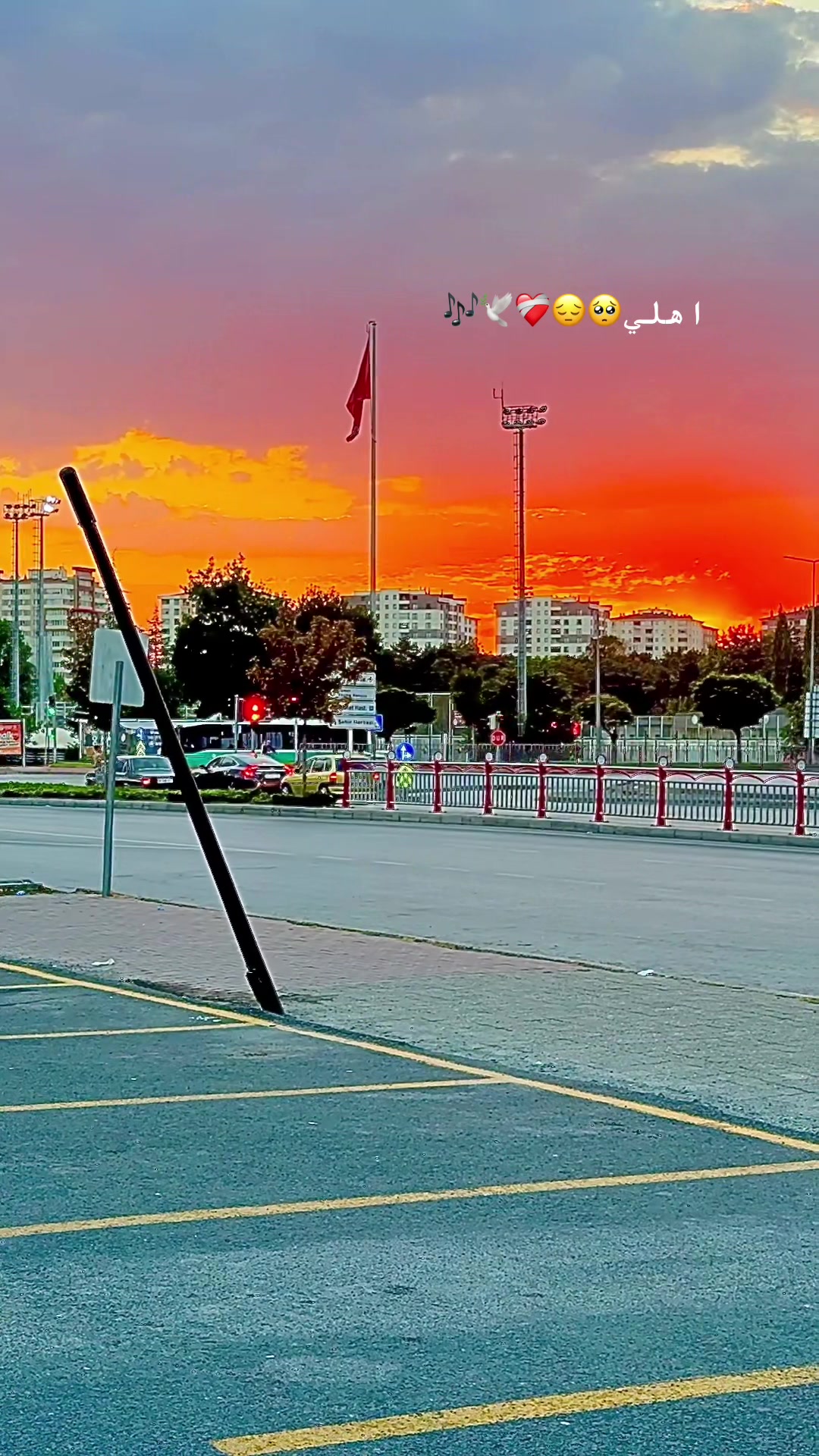 @👑🦋عاشقة القهوة🦋👑