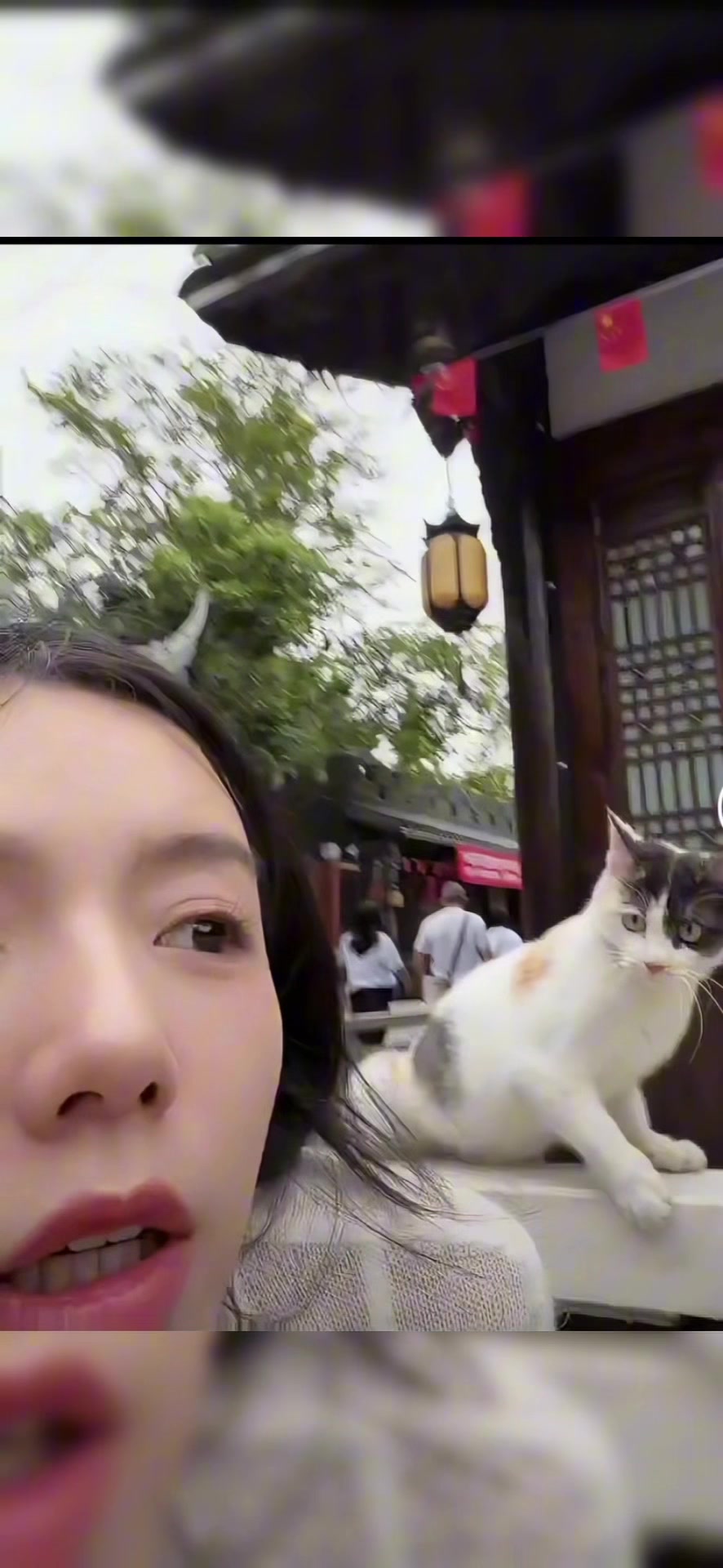 @cutepetfoodie
