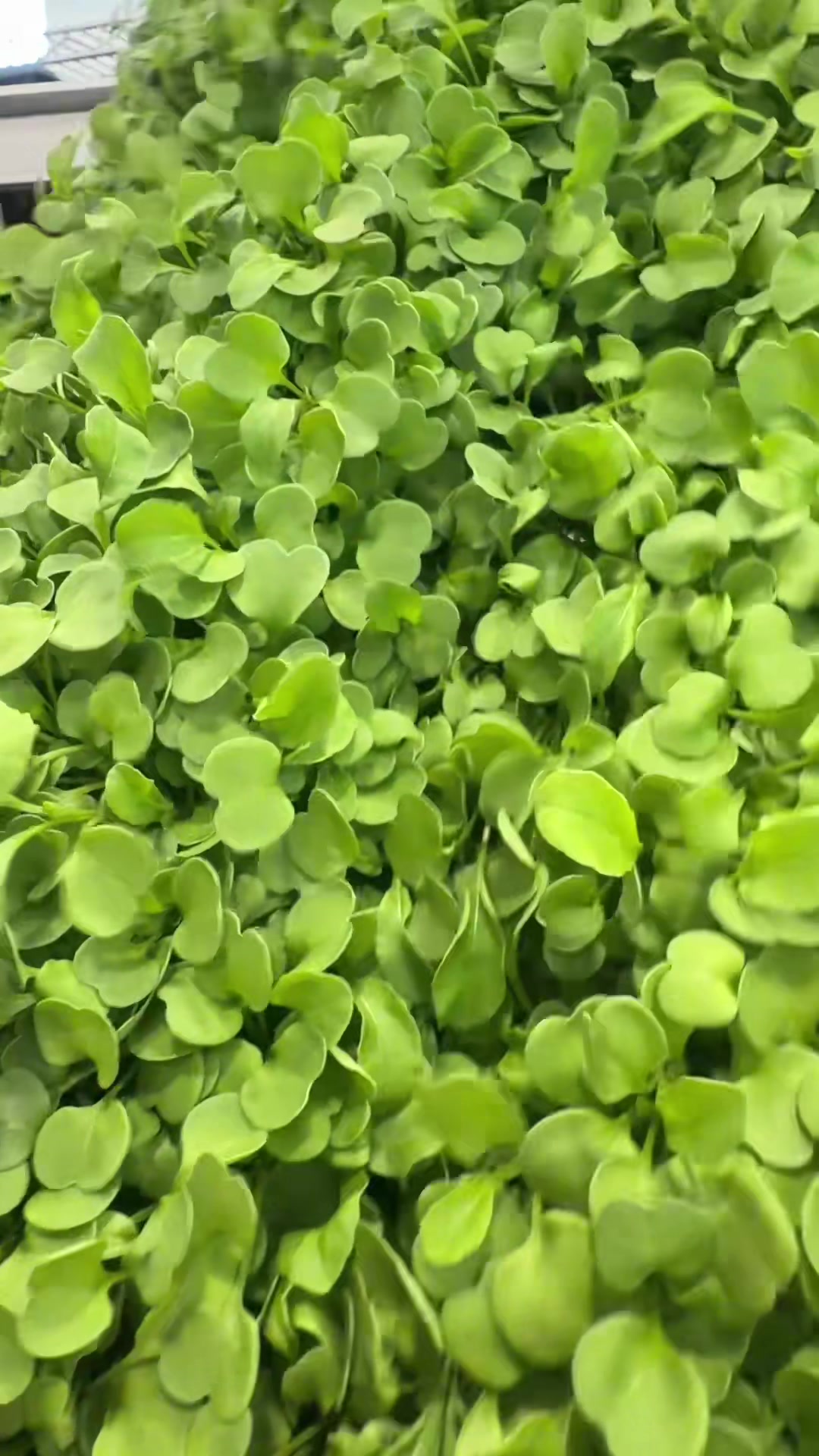@Micos Micro Farm