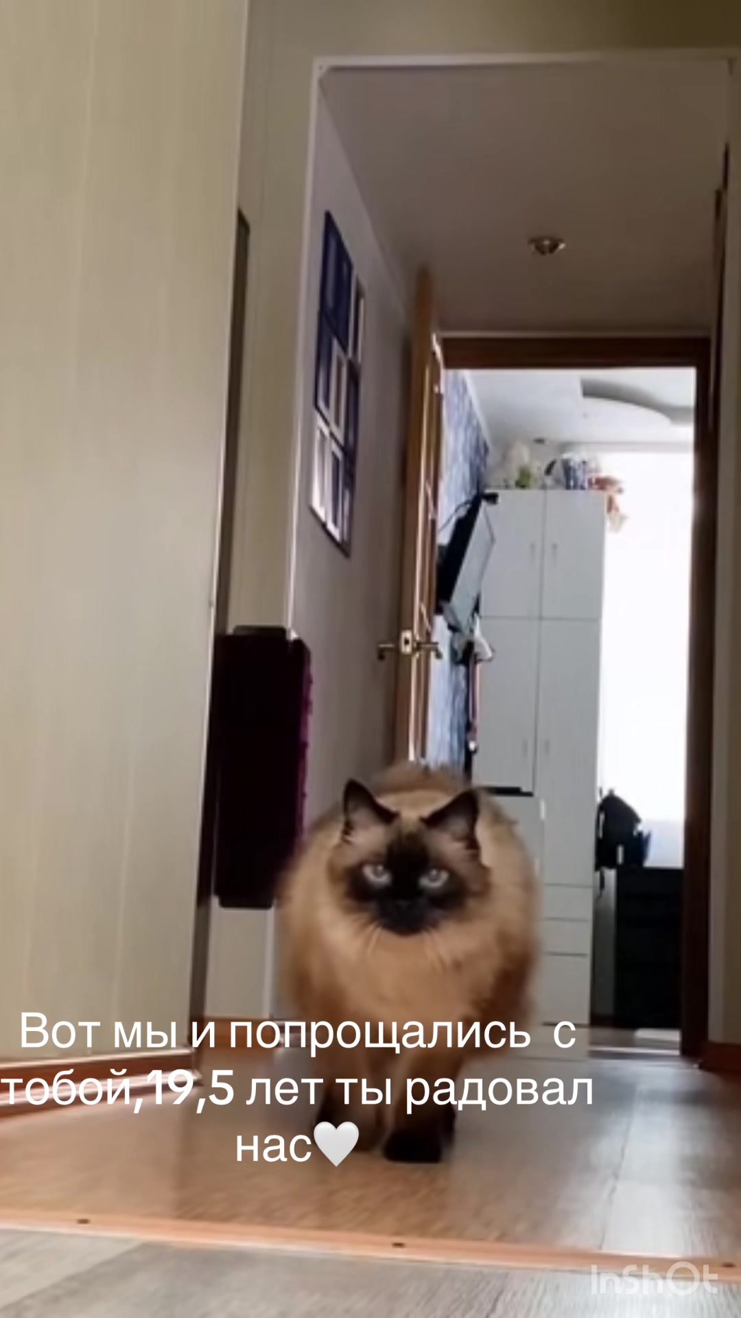 @Veronikabelka