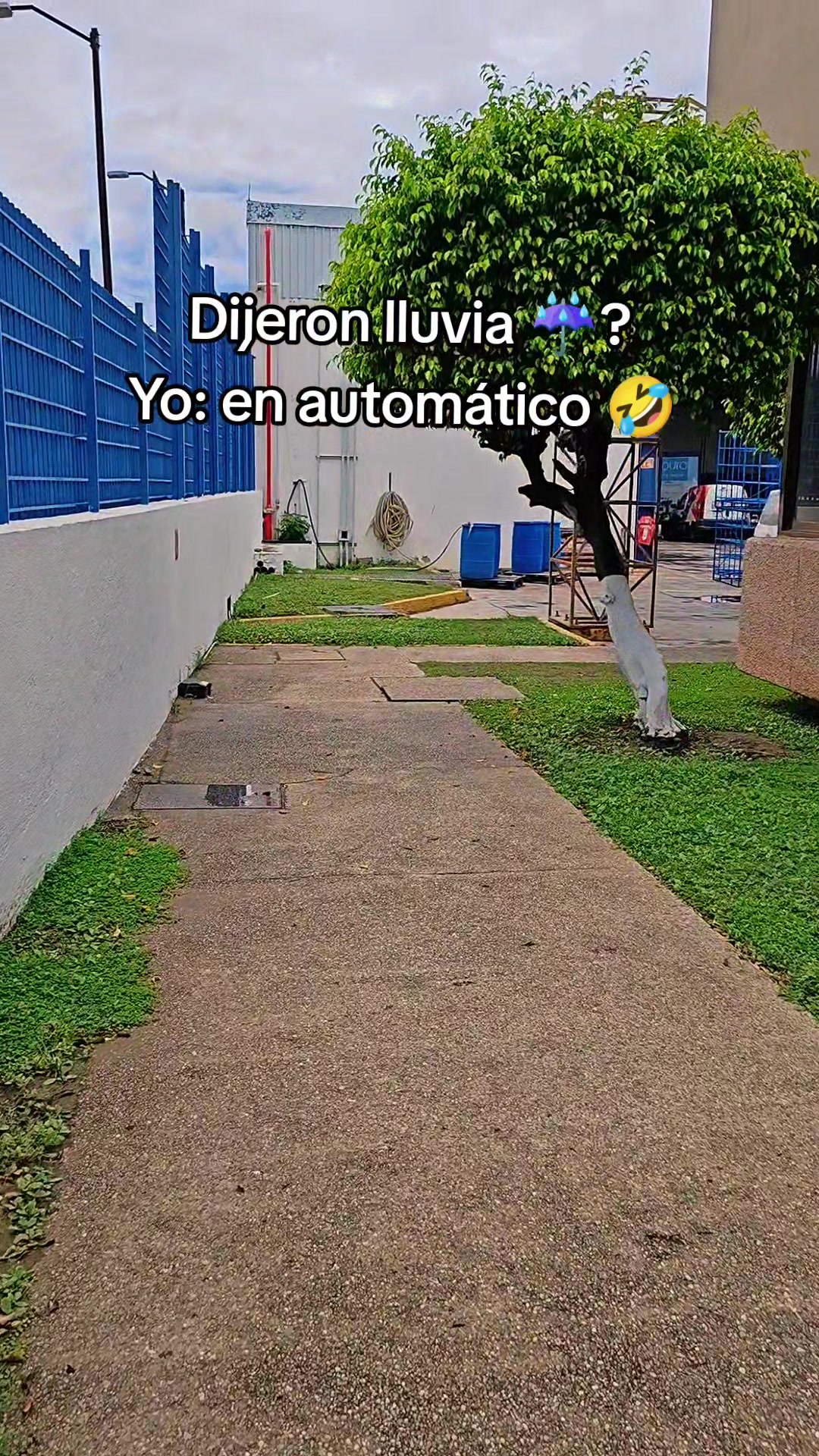 @Sarah ✨