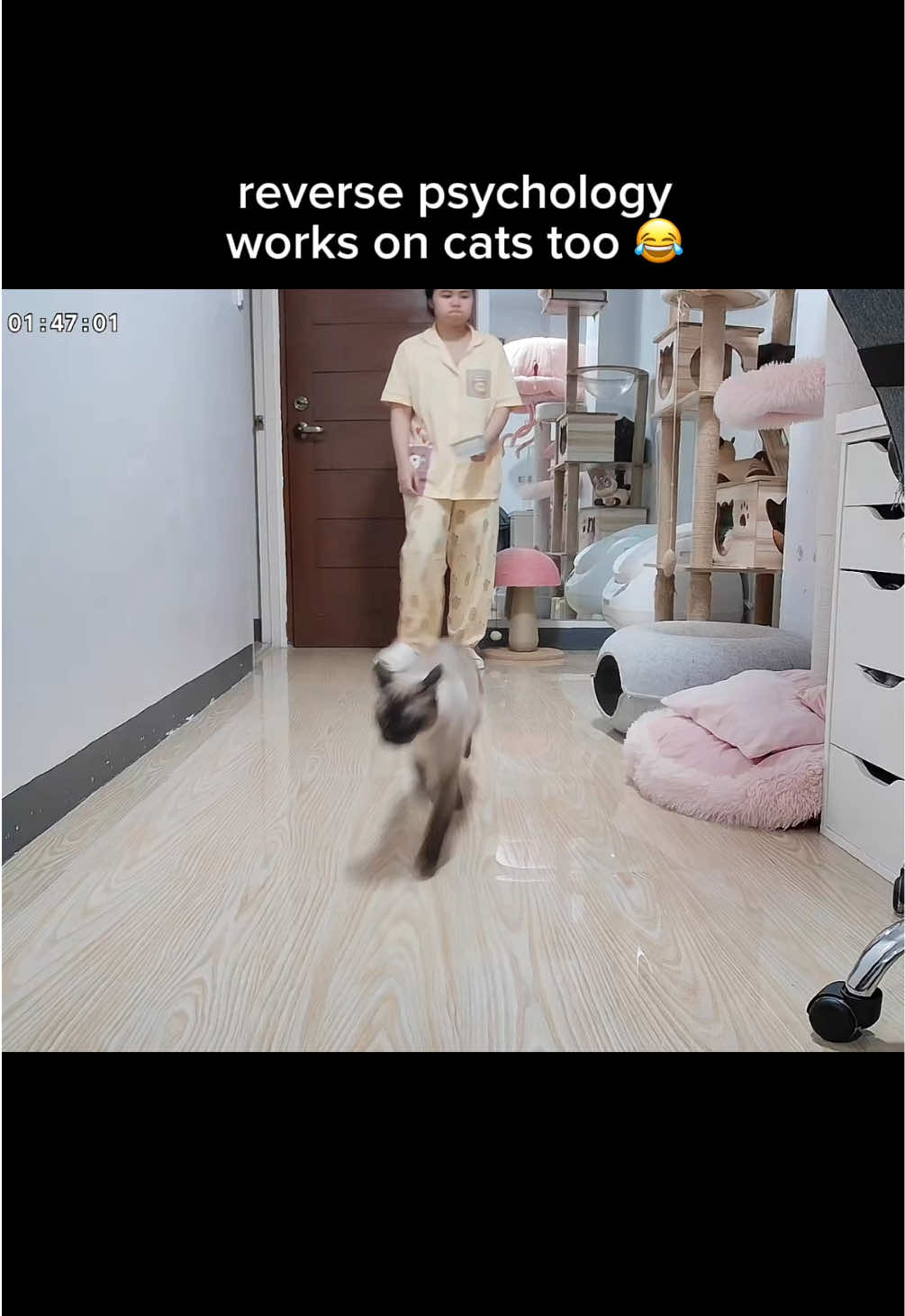 @TOFU
