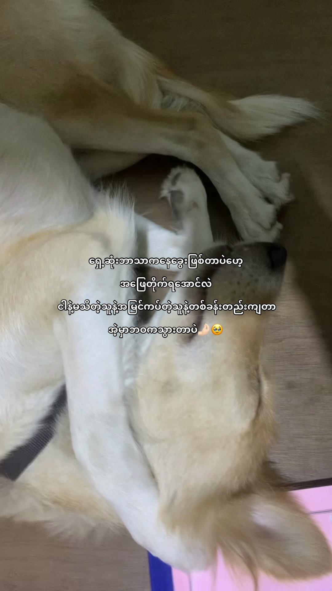 @ᴡɪʟʟᴏᴡ_ʙʀᴏᴏᴋʟʏɴ