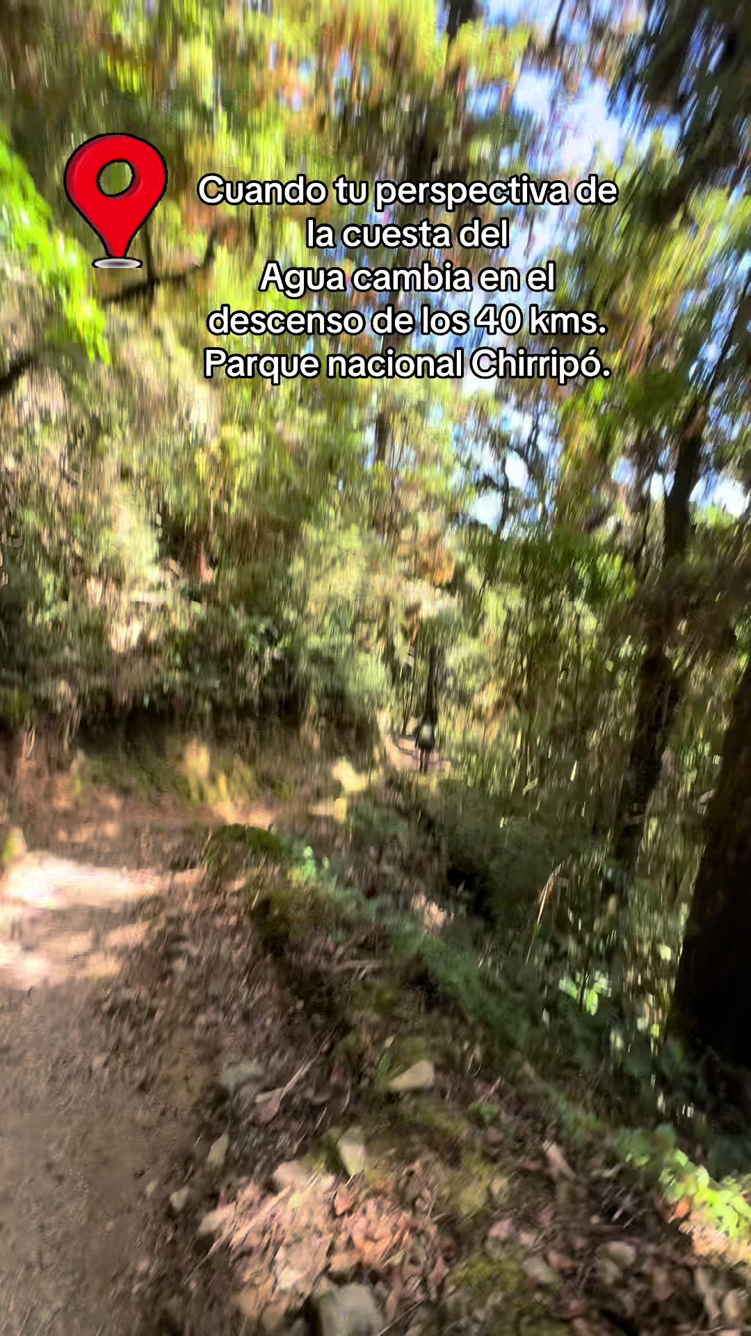 @Oxigenia Buseta Costa Rica