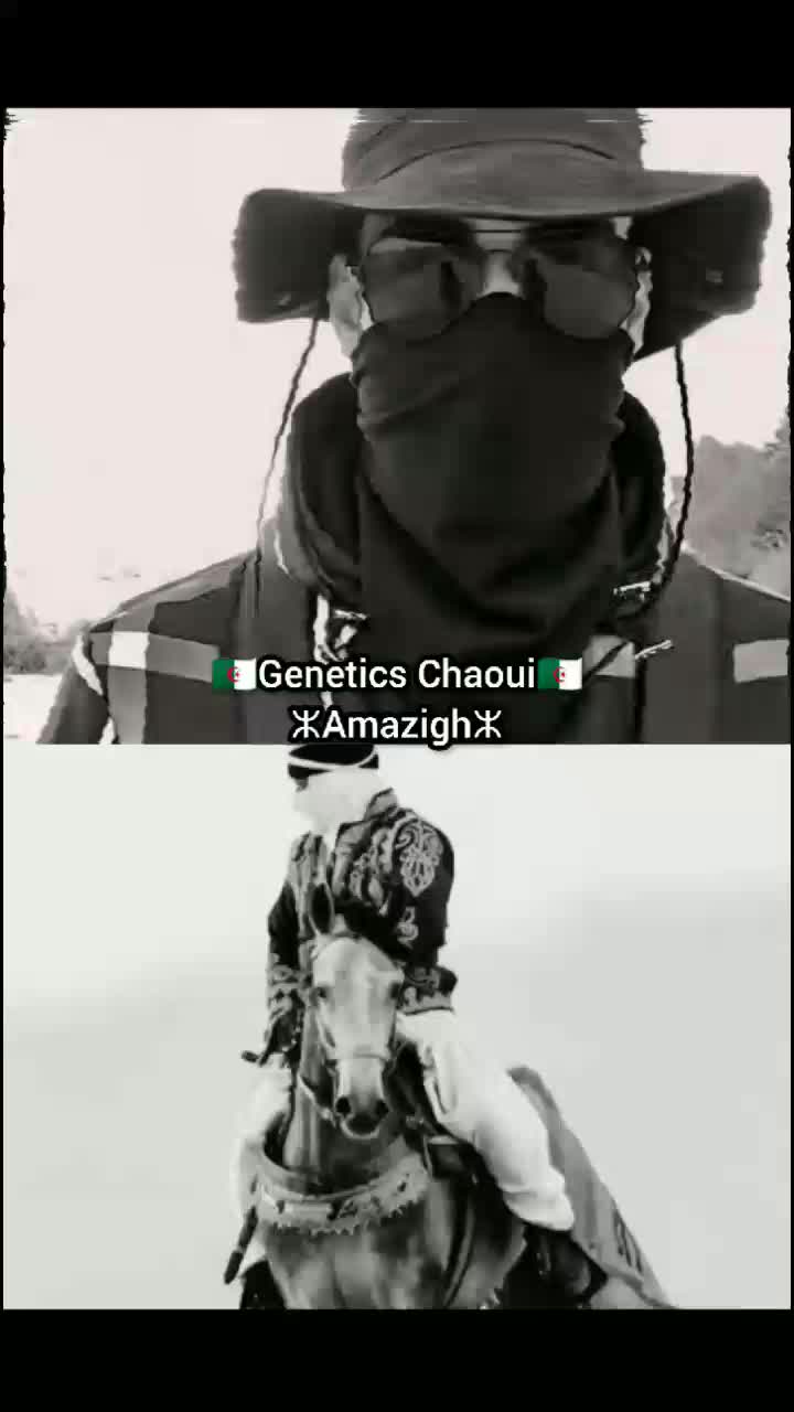 @ⵣ🇹🇳JAK WOLF🇩🇿ⵣ
