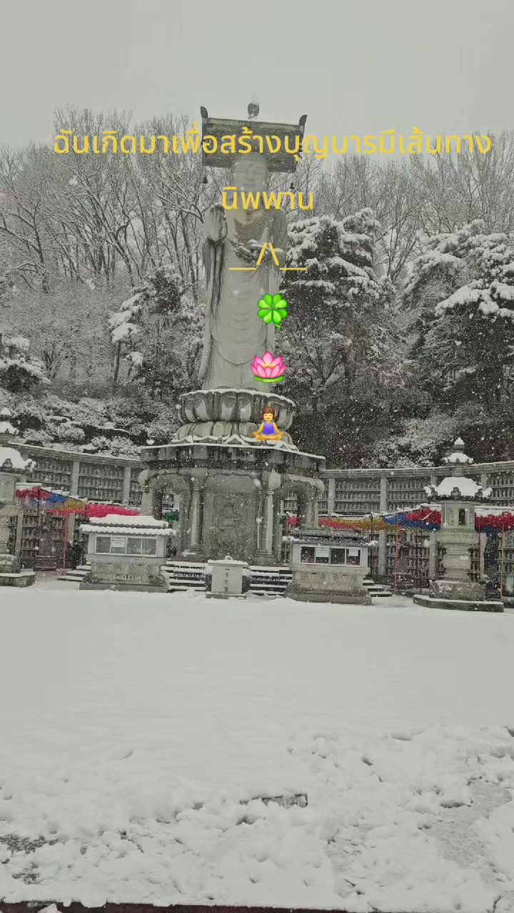 @팟라다 🍀 🍀 천