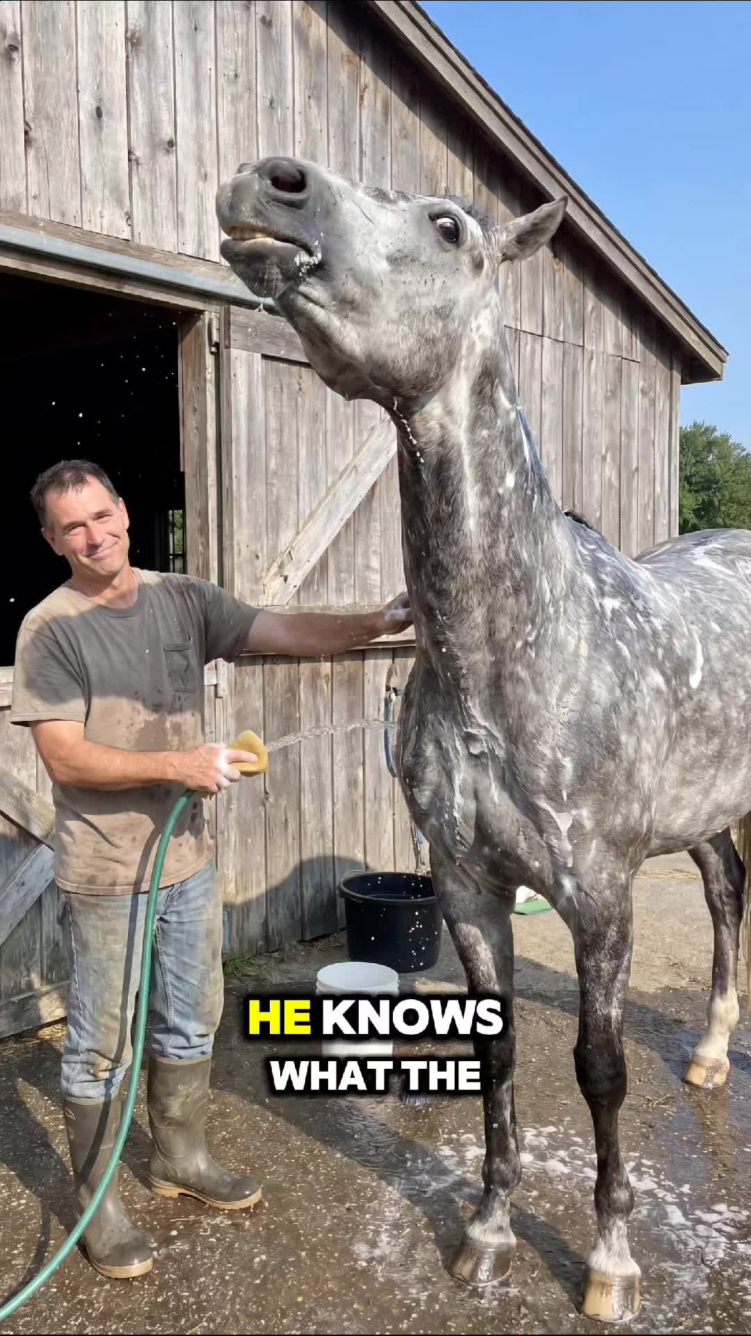 @Caleb Horseman Story