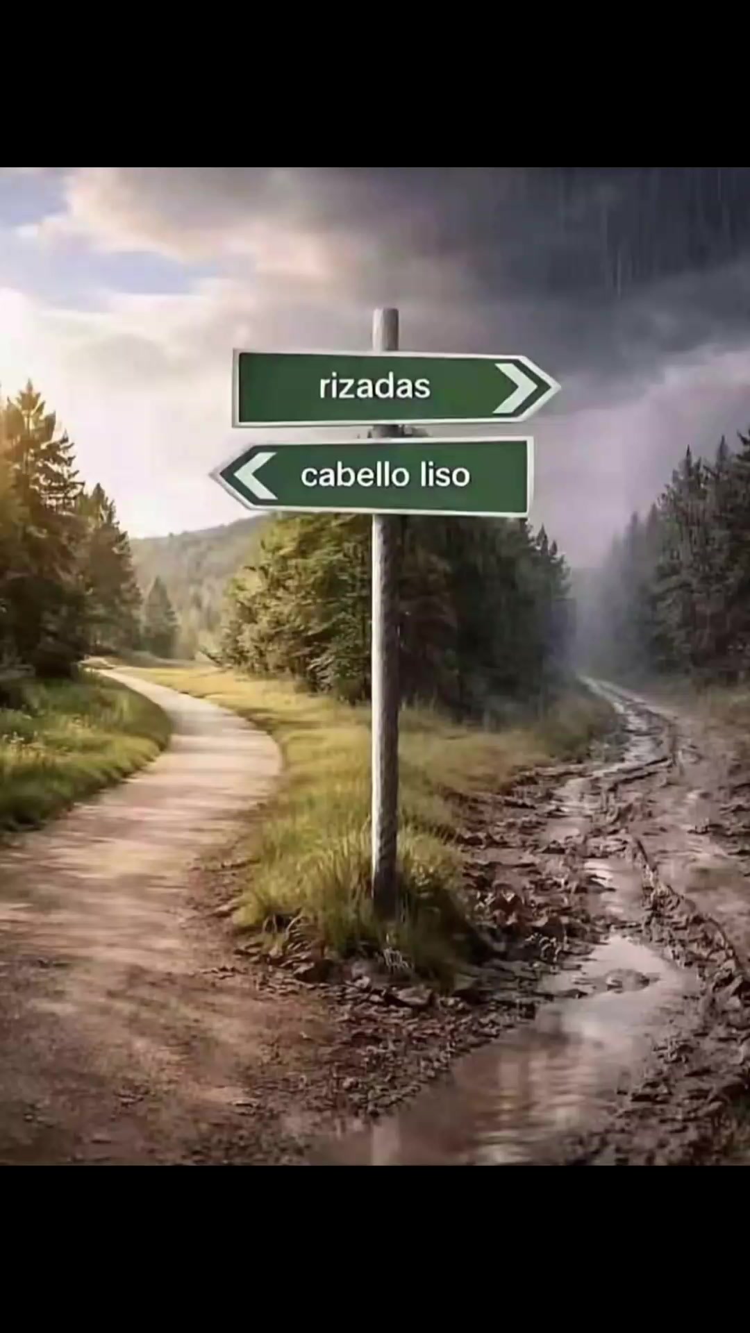 @Alexander🕸️