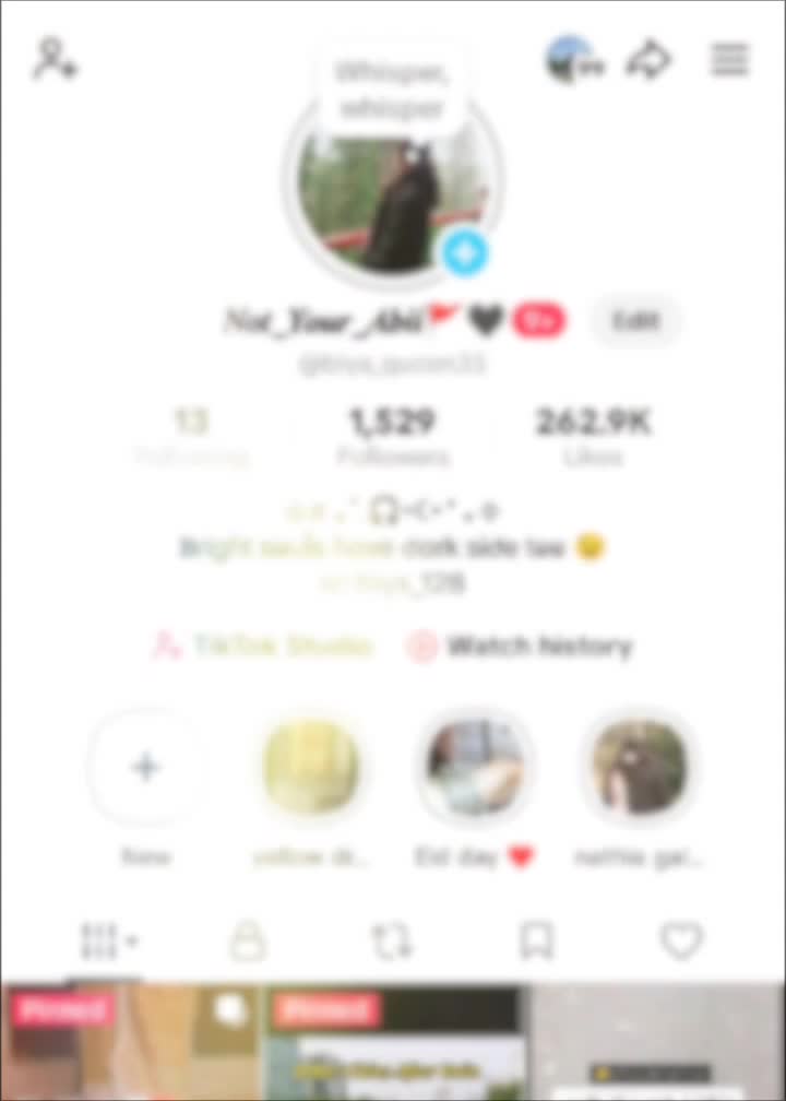 @𝑵𝒐𝒕_𝒀𝒐𝒖𝒓_𝑨𝒃𝒊𝒊🚩🖤