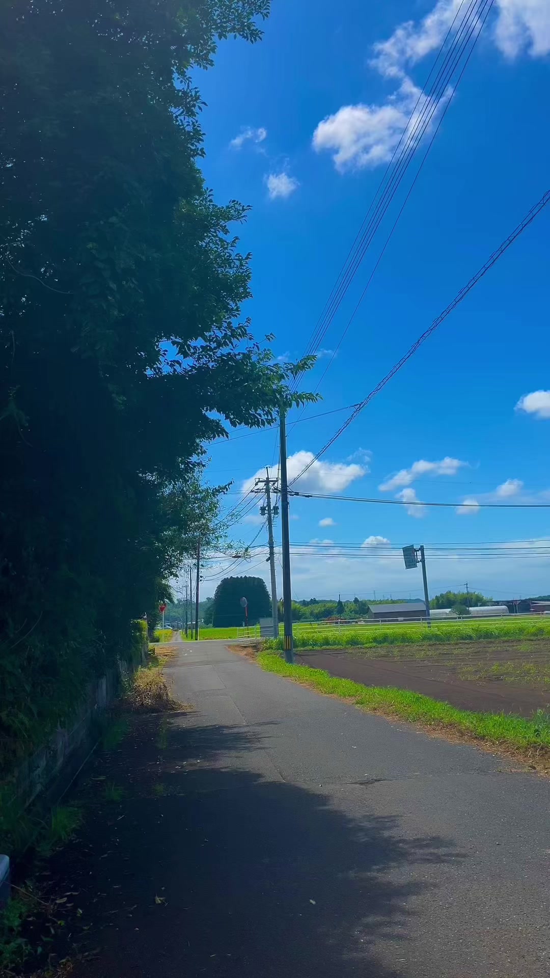 @︎︎夏空