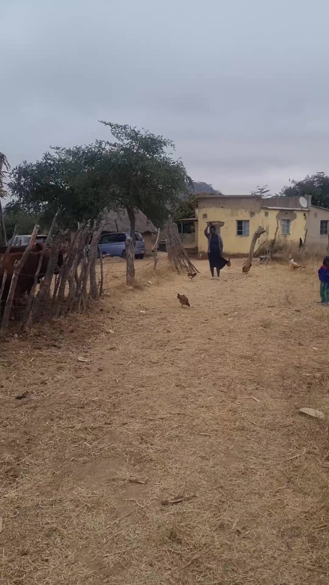 @Mai Sauti