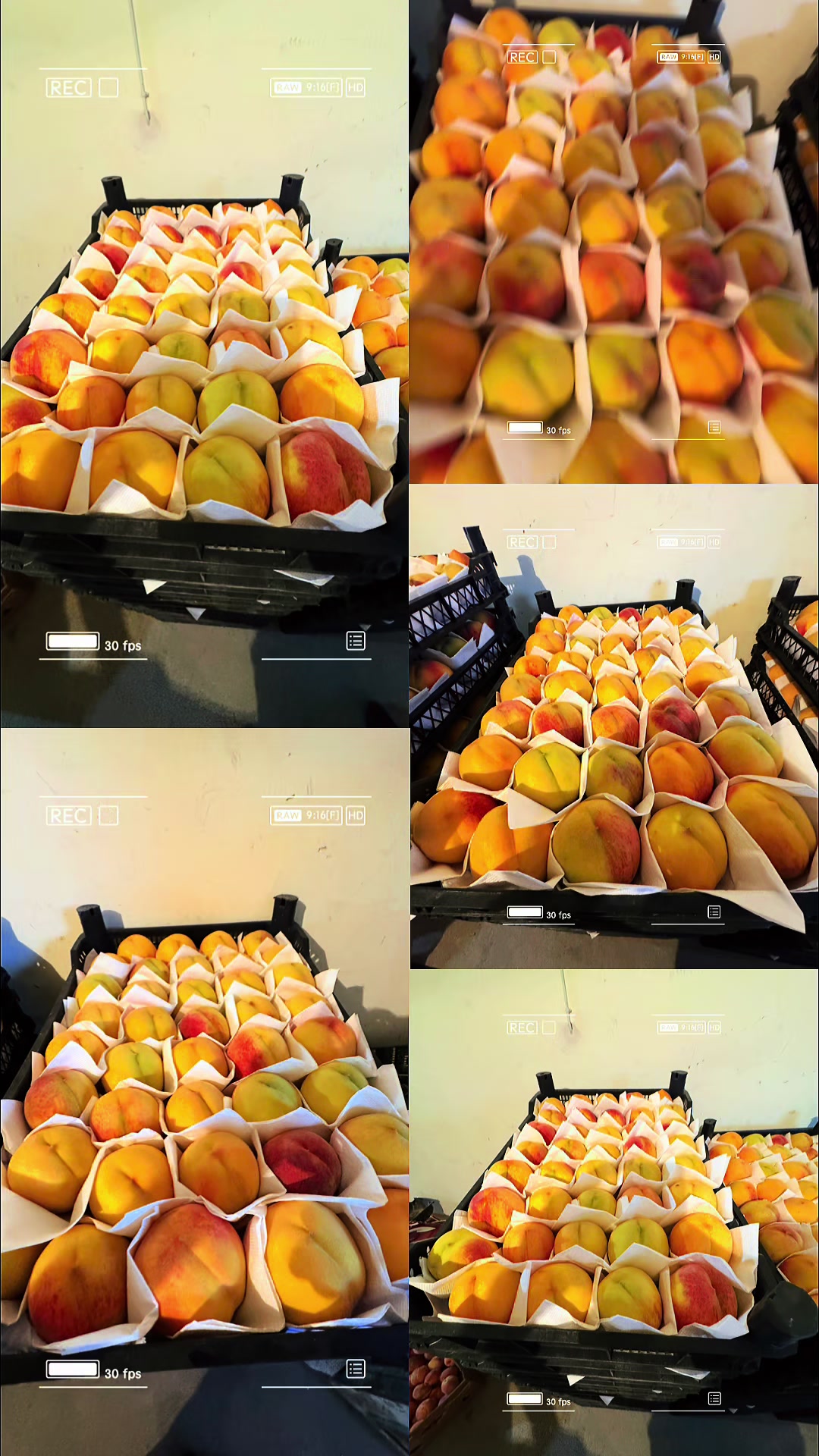 @pallet pack & load