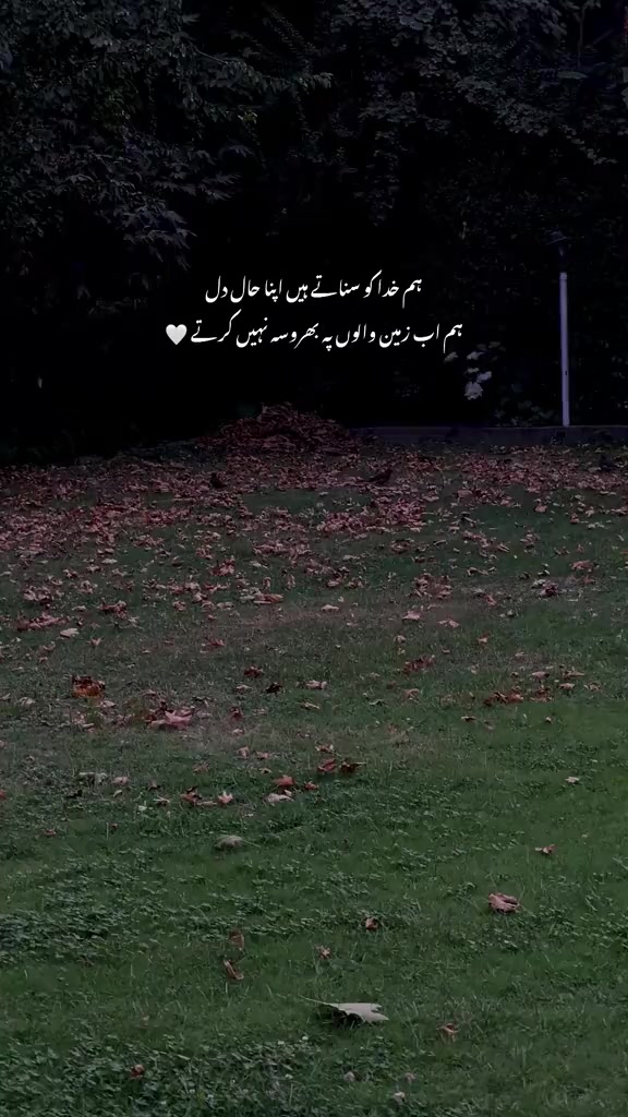 @Tayyab Khan