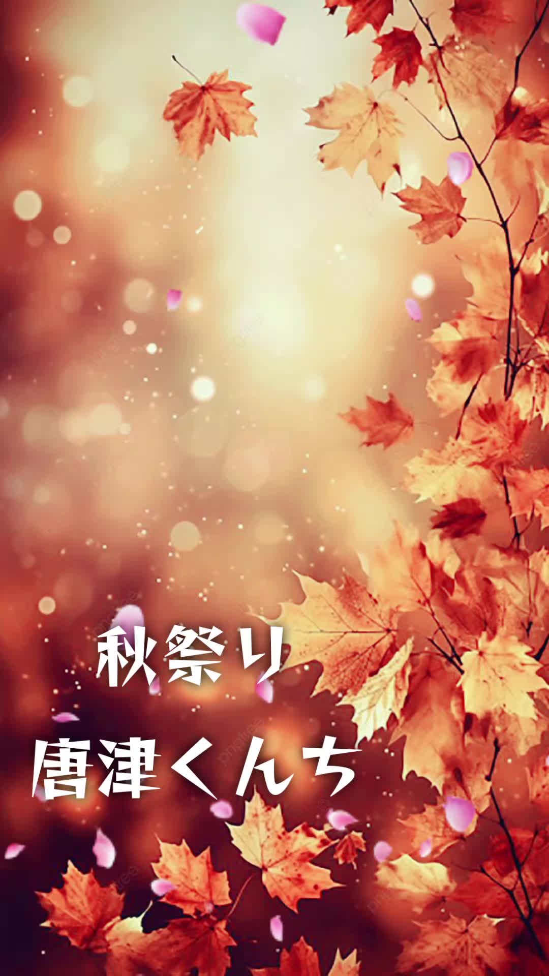 @â ïžðïžð*MEGUMI*ð¹ð¶ðŸ