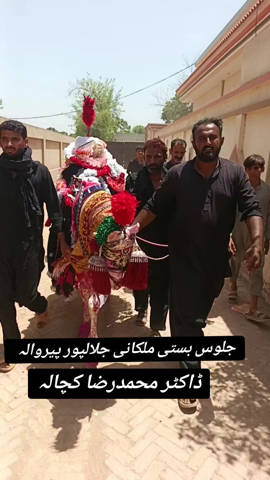 @Dr Mohammad Raza Kachala