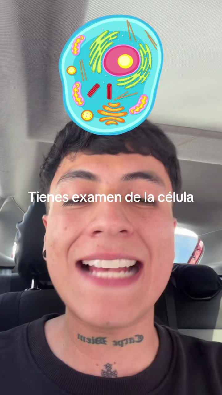 @ENDOBOY