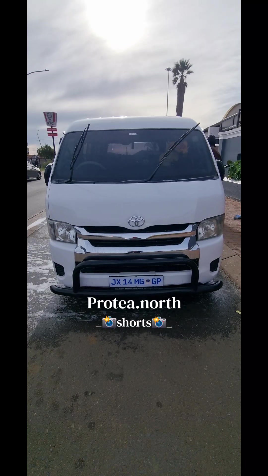 @Protea.north_shorts_