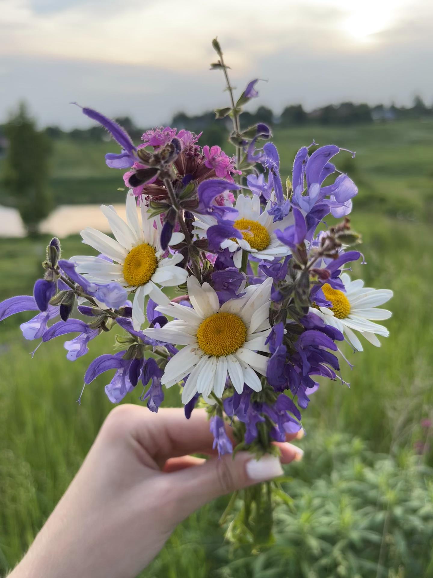 @влюбленные в природу