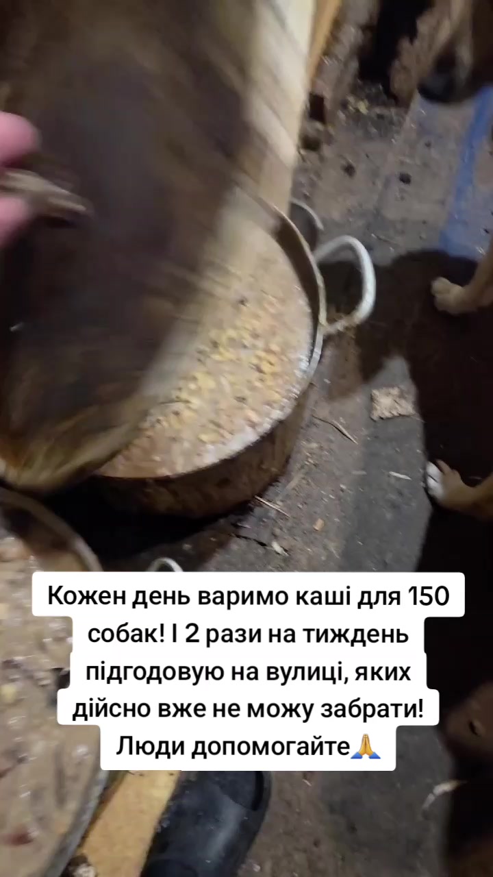 @tvarinkidobra