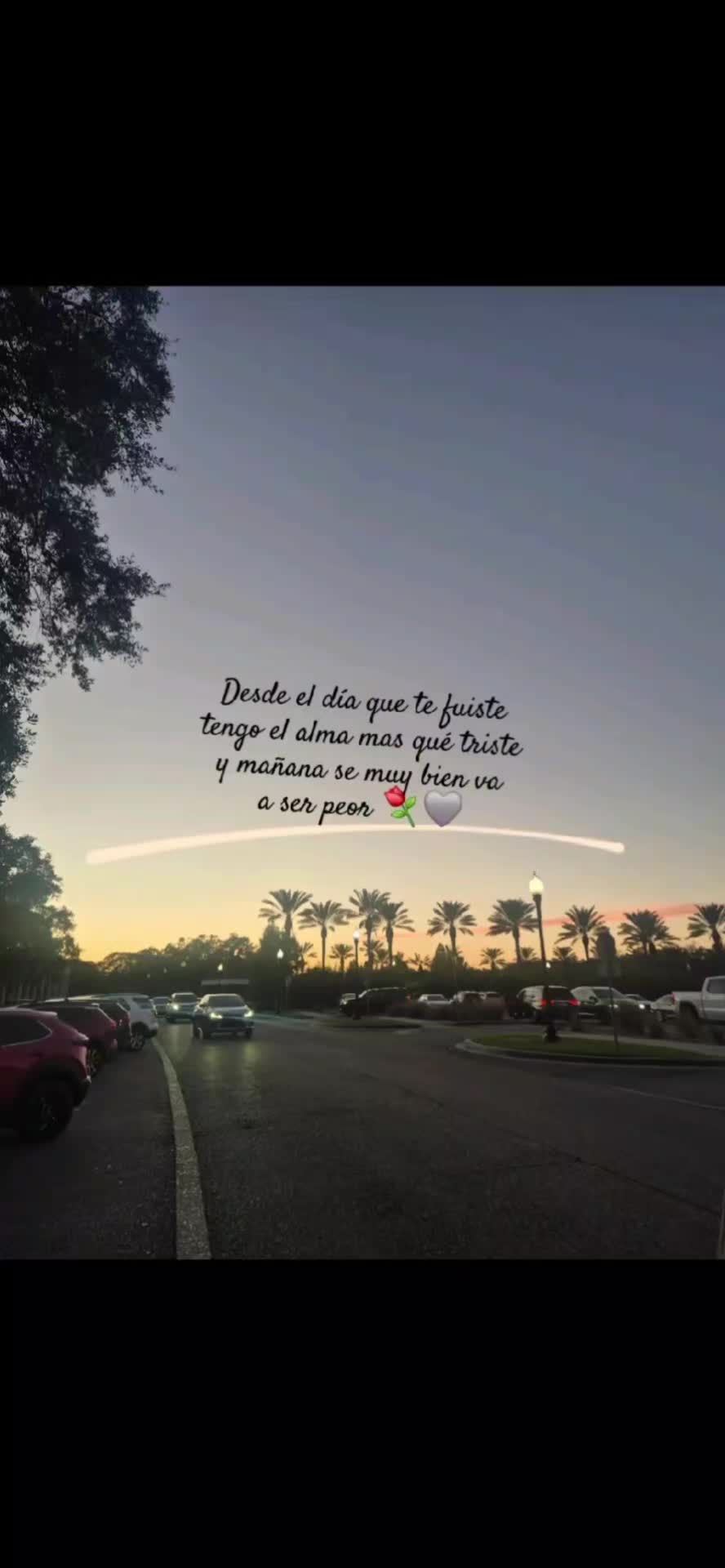 @🩷🌷🌸Vero🌸🌷🩷