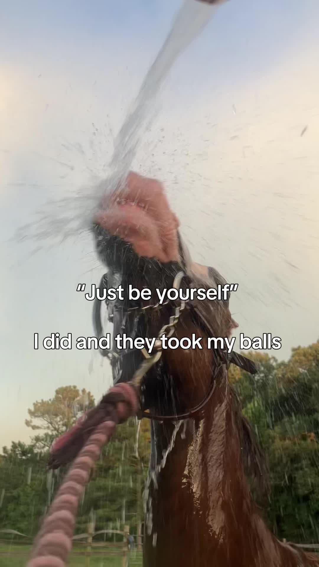 @that-horsechick