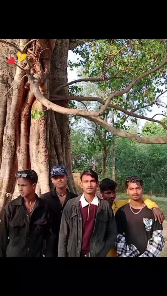 @ঔৣ☬✞Single.♤Laika☆♧✞☬ঔৣ꧂