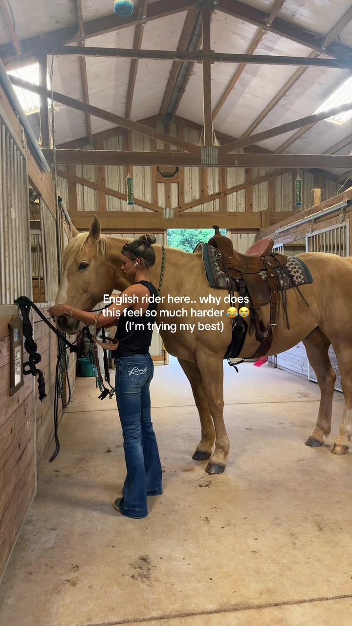 @kyliejtoler