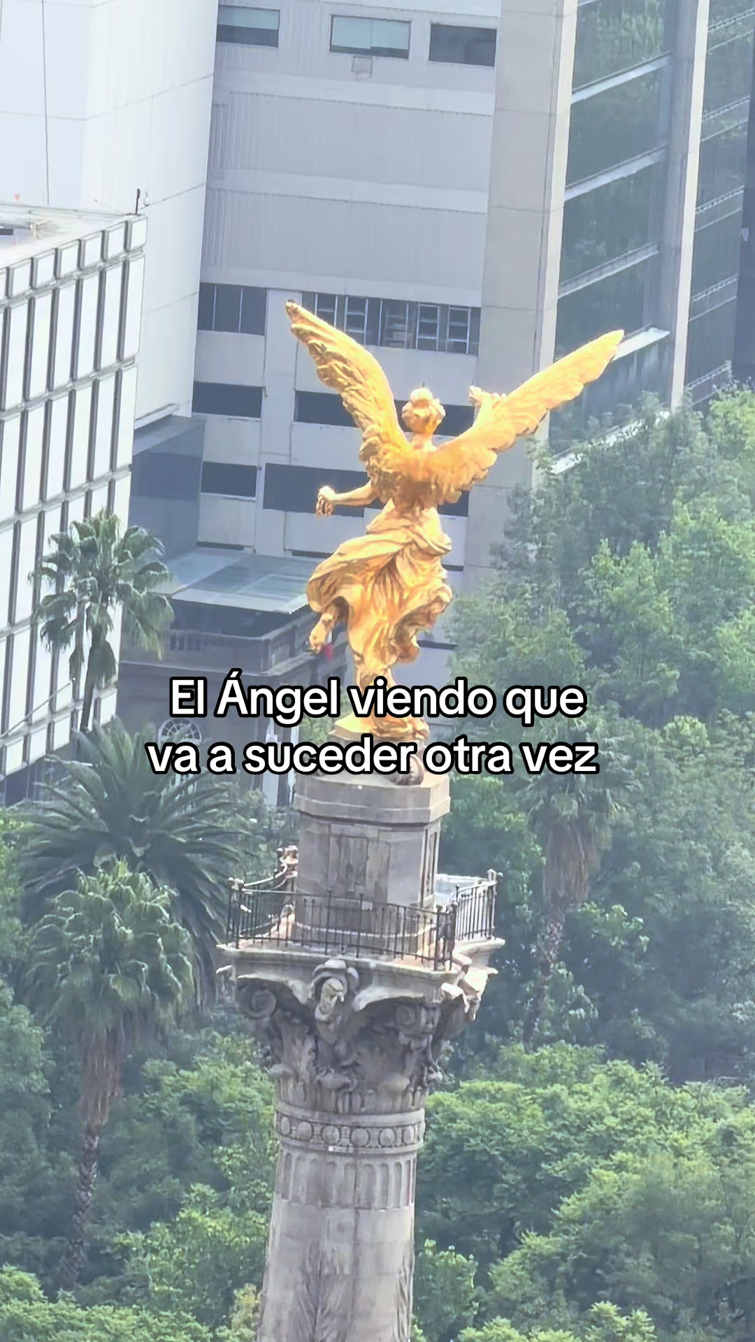 @Alex Reyna