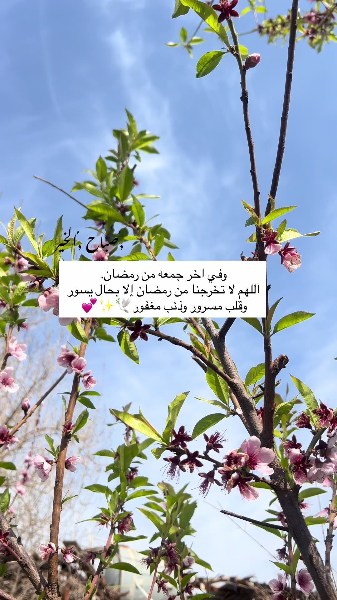 @لحظة الأمل 🫀🤍