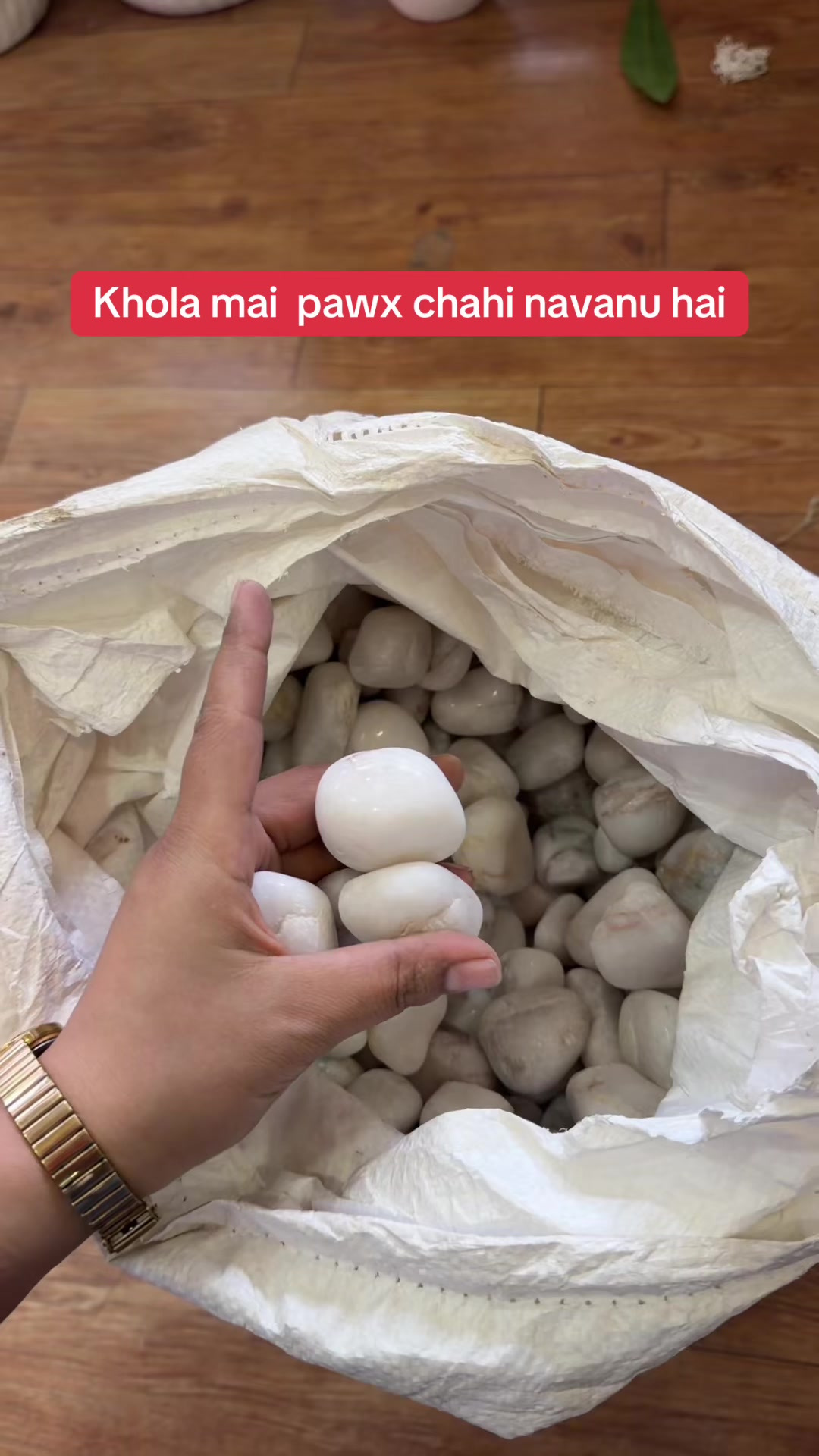 @Sastika Vlog