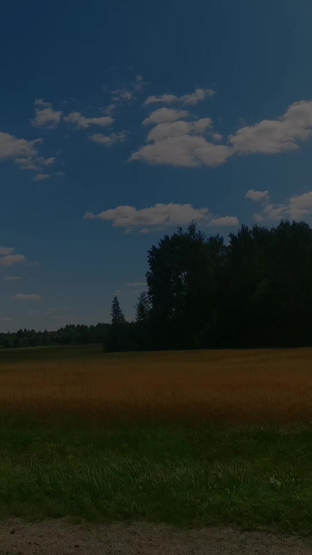 @Мирон