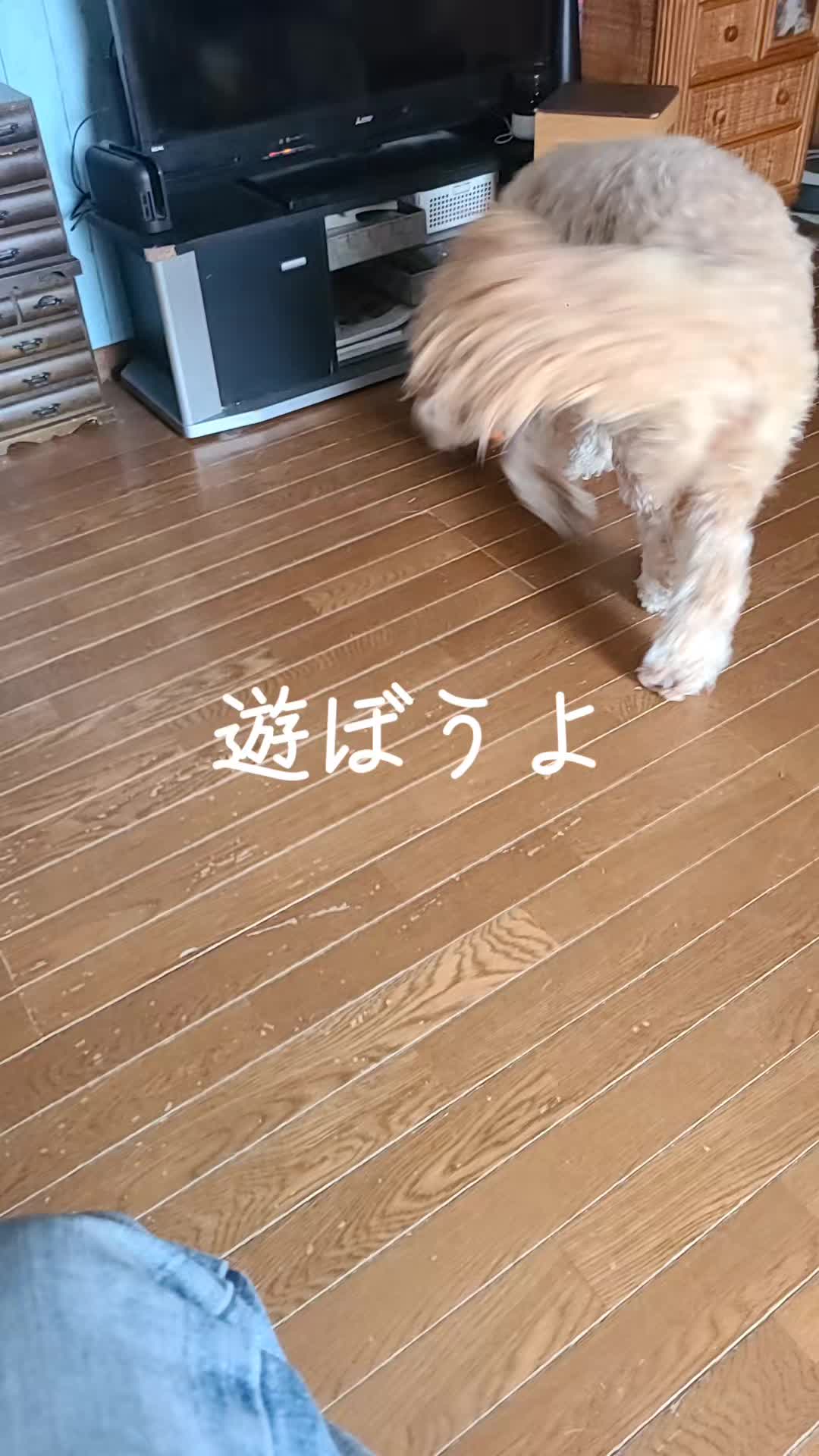 @沙亜代