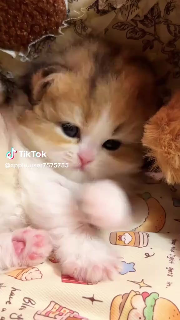 @FazarRifai23