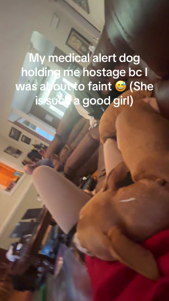 @Sam Schell | Home Baker | BJJ
