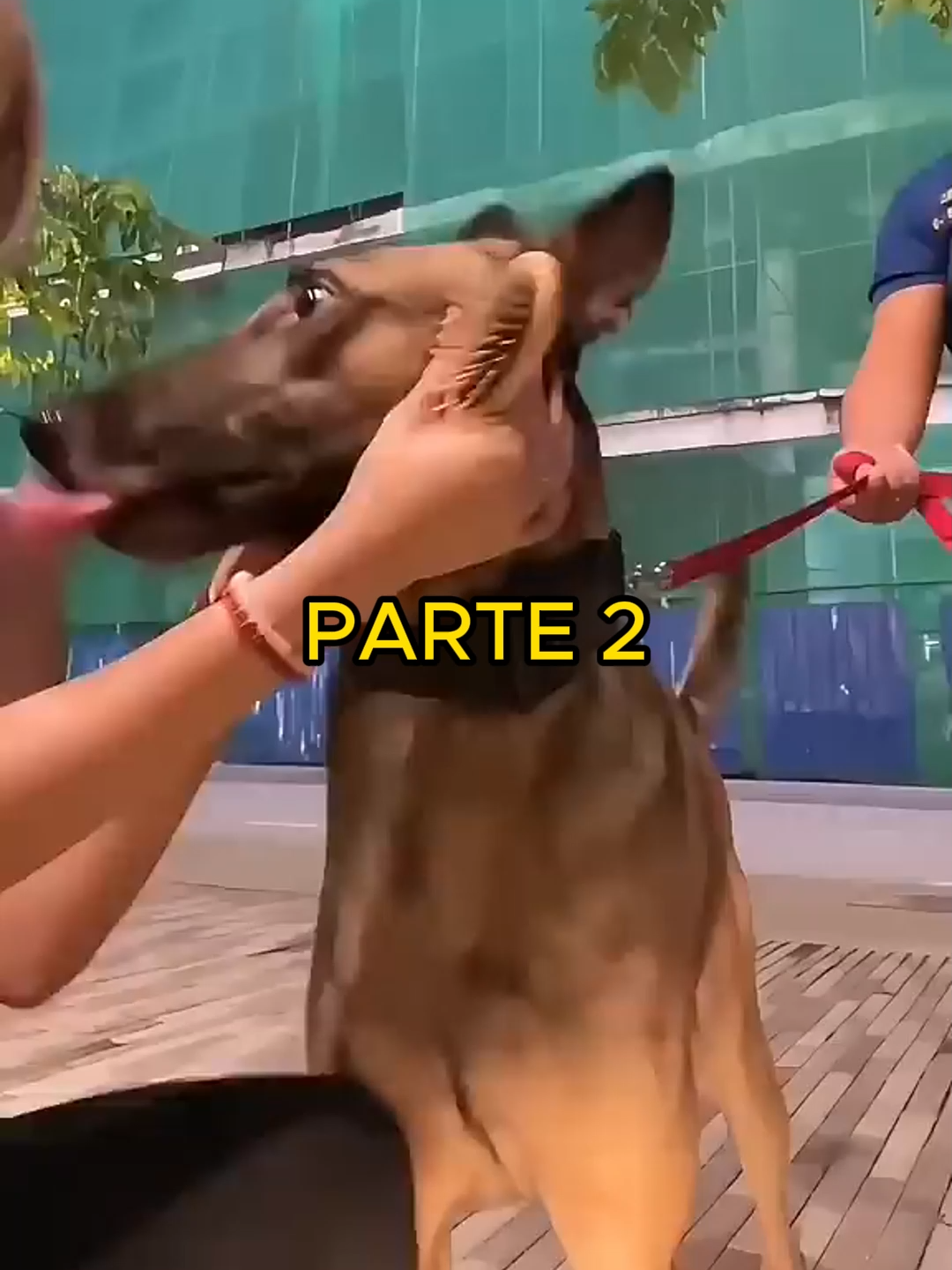 @Hist&oacute;rias Bizarras