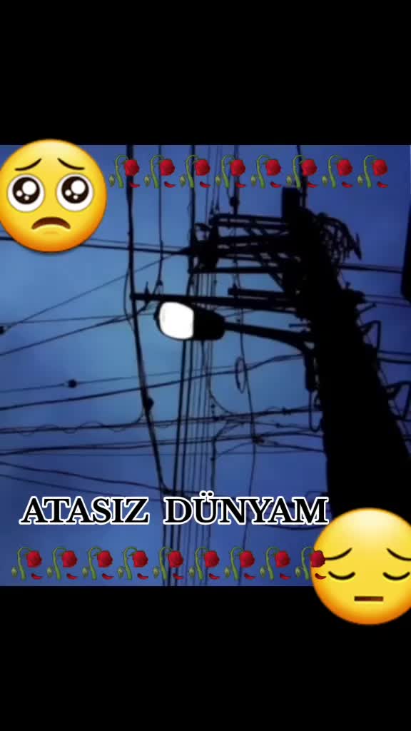 @✅AYDIN HƏSƏNOV✅