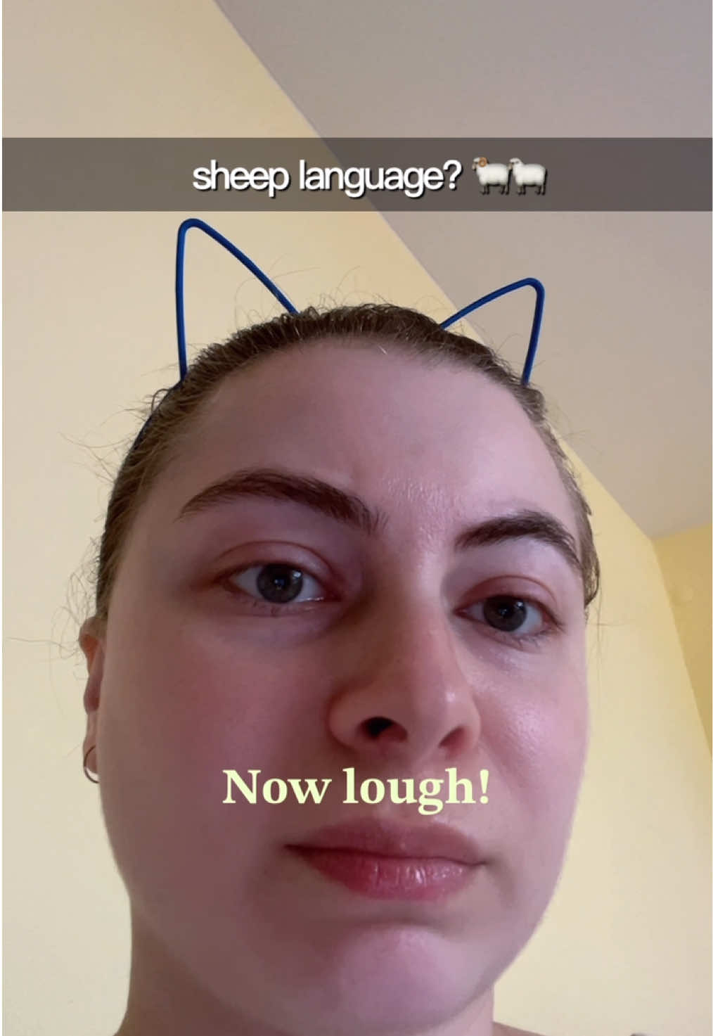 @Hangulbear