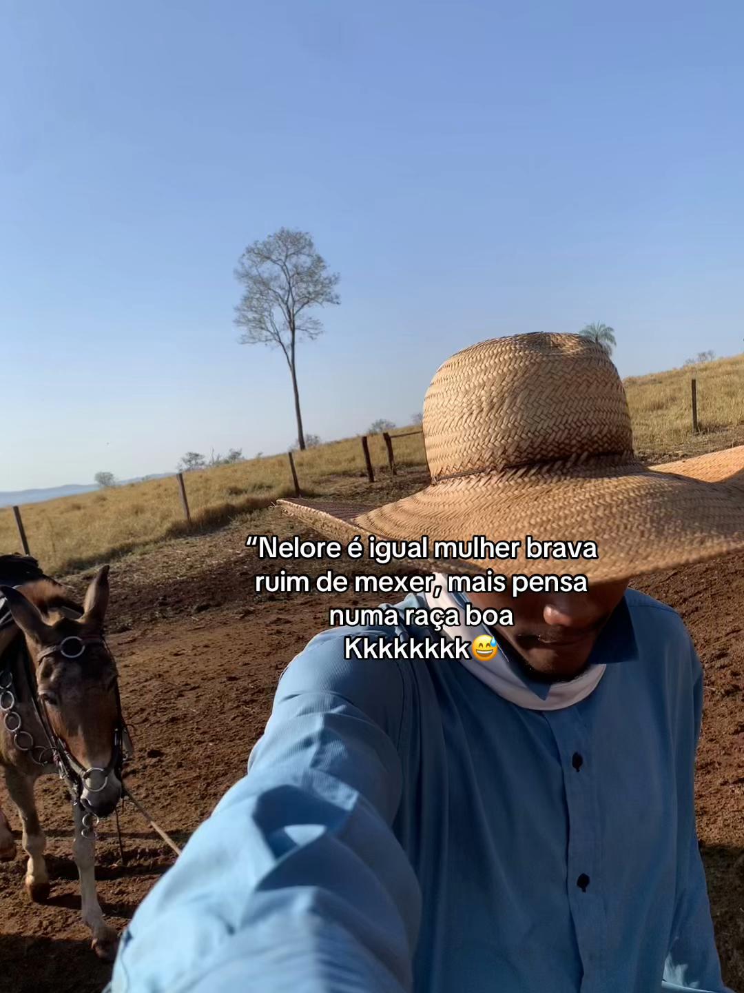 @Kauan Almeida