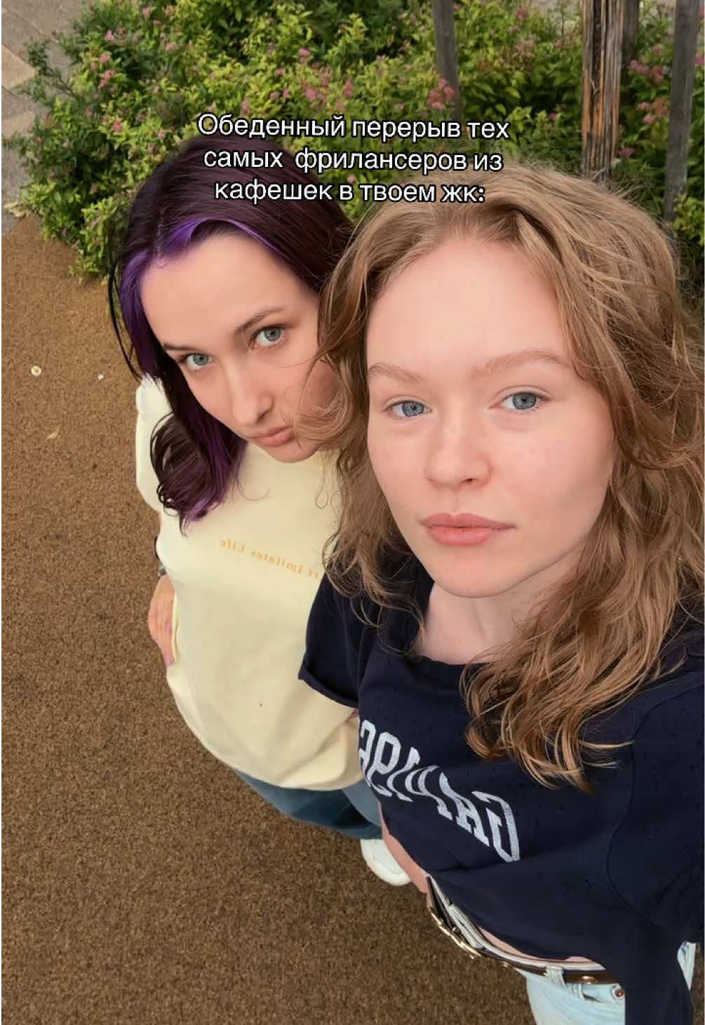 @alikrassa