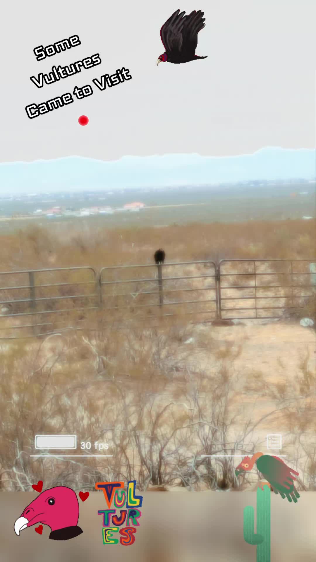@Always And Forever Sanctuary