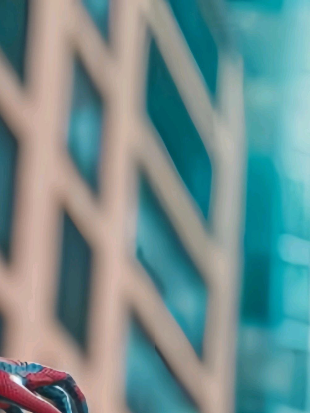 @𝗥𝗮𝘃𝗲𝗻.