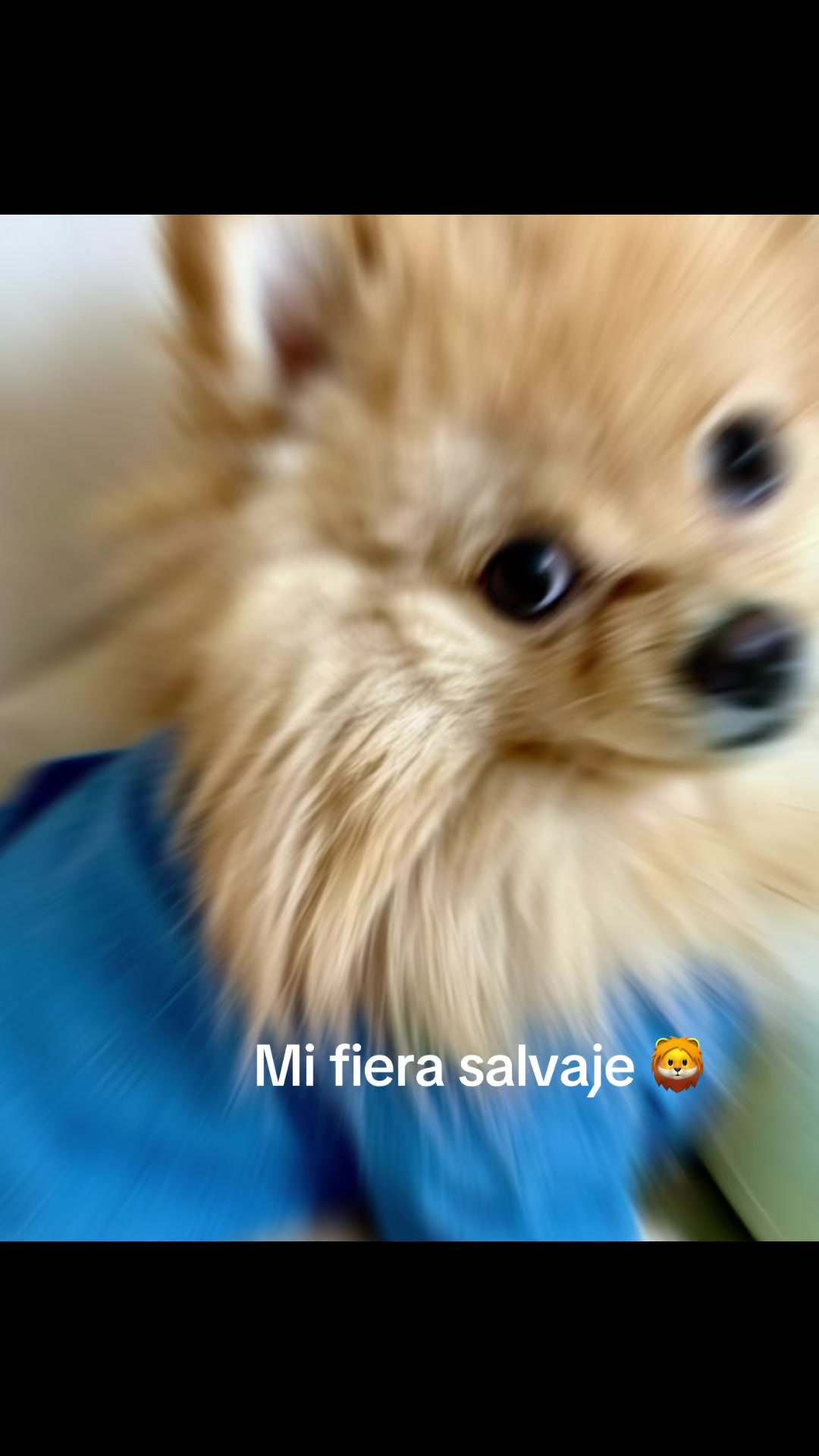 @Tania Gab